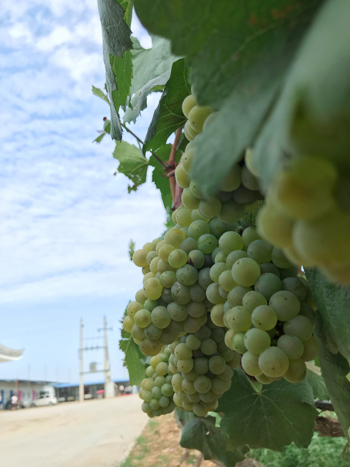 15712829042359.jpg 微信圖片_20190726101633.jpg