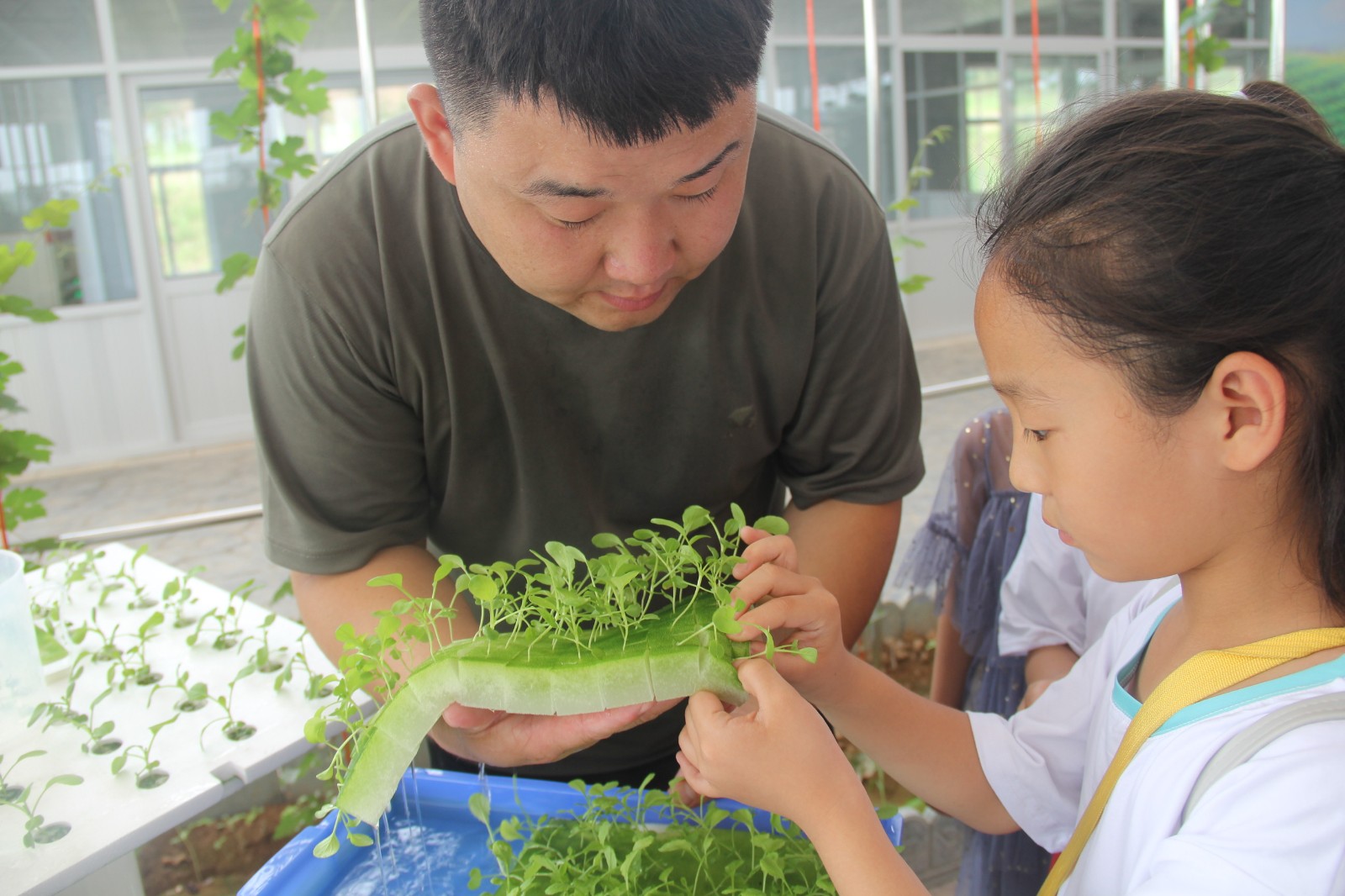 16003323338710.jpg IMG_5365.JPG