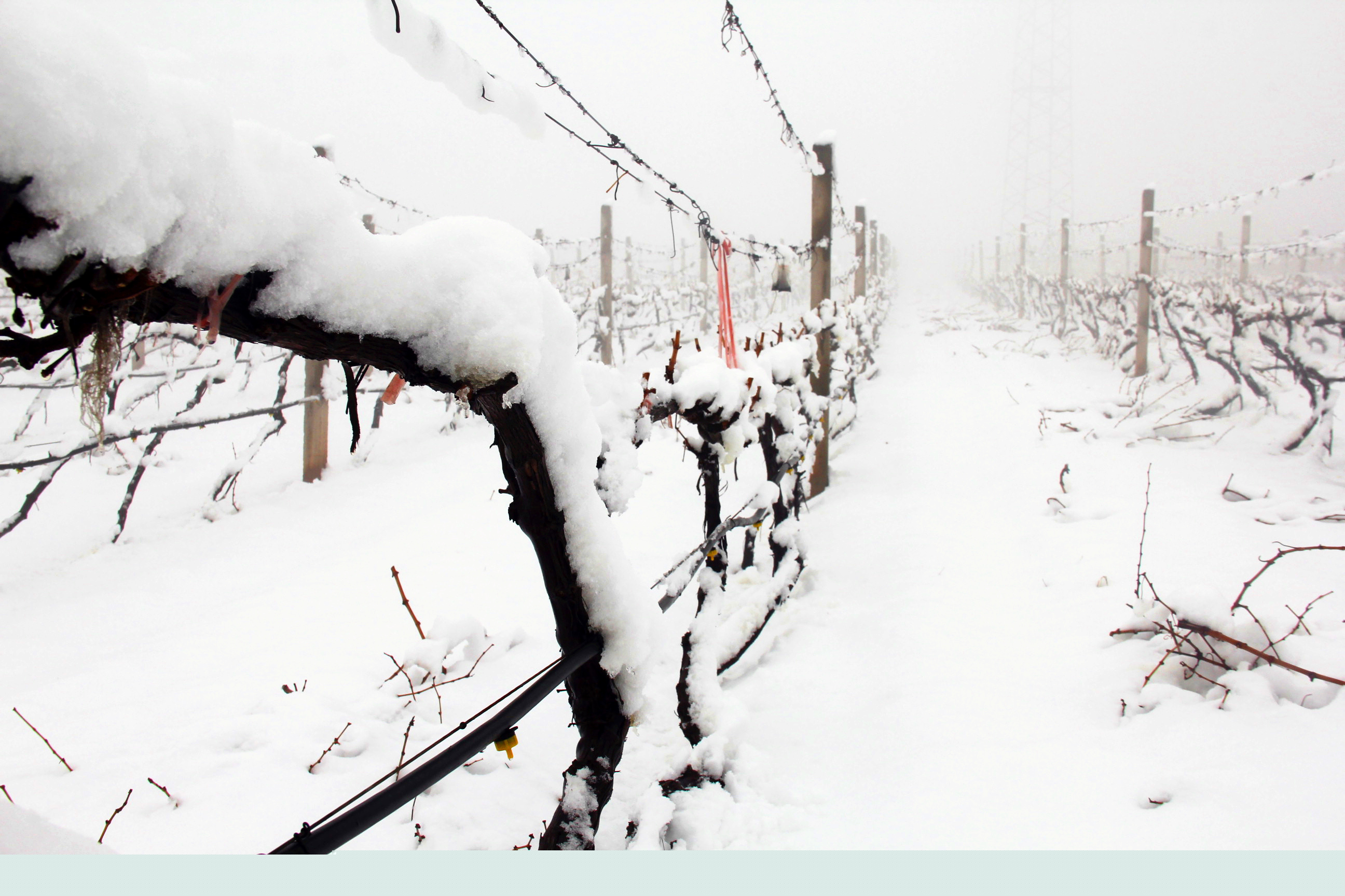 瑞雪兆豐年 ▎時(shí)光正好，歲月極美，何必覓遠(yuǎn)方