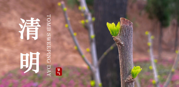 清明 ▎新風潤雨，萬物皆顯