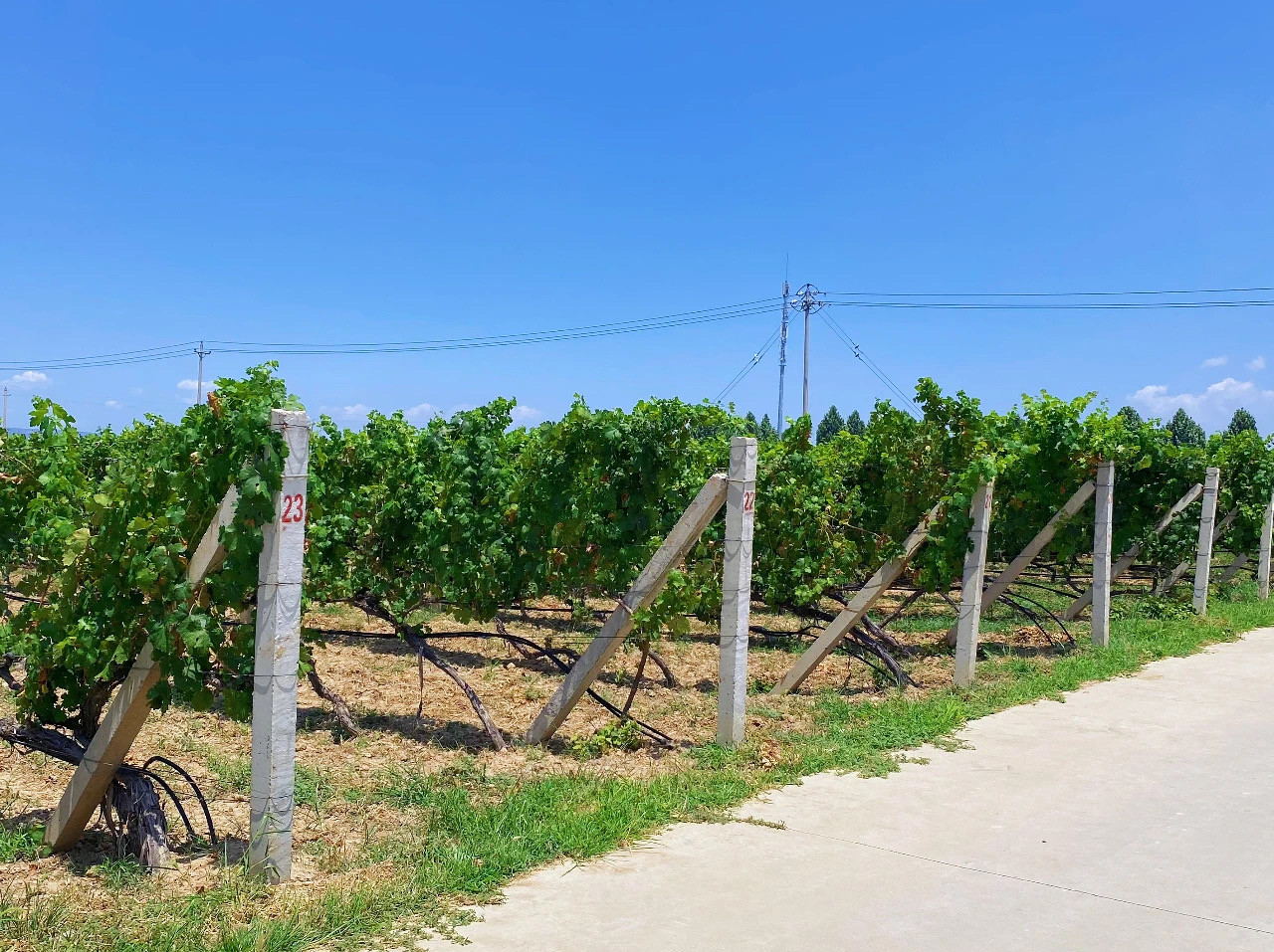 16905374771900.jpg 微信圖片_20230728174345.jpg