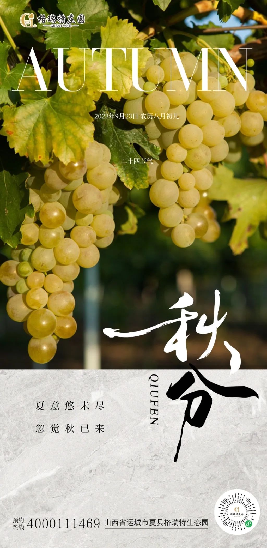 17113548396466.jpg 78611d4646553523bc02a3c4f93d018b.jpg