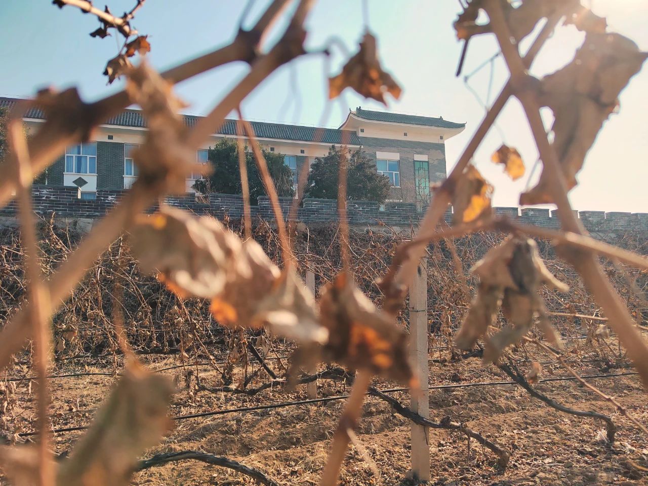 17114218458200.jpg 7a10eaf38760f8705782c5fe50030435.jpg