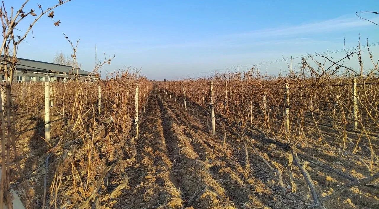 17114233653935.jpg 903baca6aab289967c3a4b1a4da5df6a.jpg